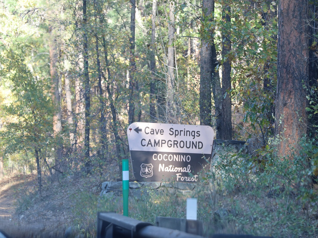 Coconino National Forest-弗拉格斯塔夫必去景点