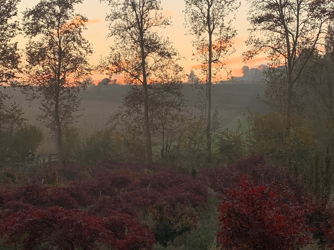 Parco regionale di Montevecchia e della Valle del Curone景点图片