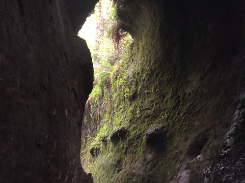 Explore Vancouver Island-纳奈莫必去景点