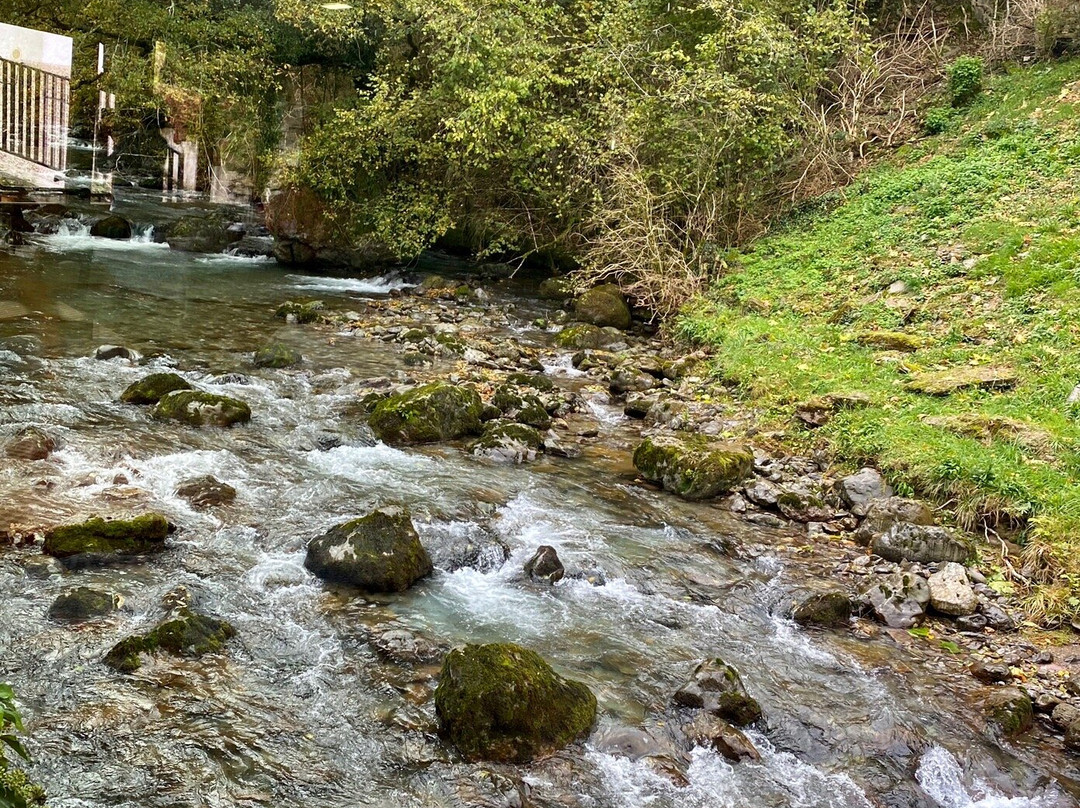 尼夫河源头酒店主图