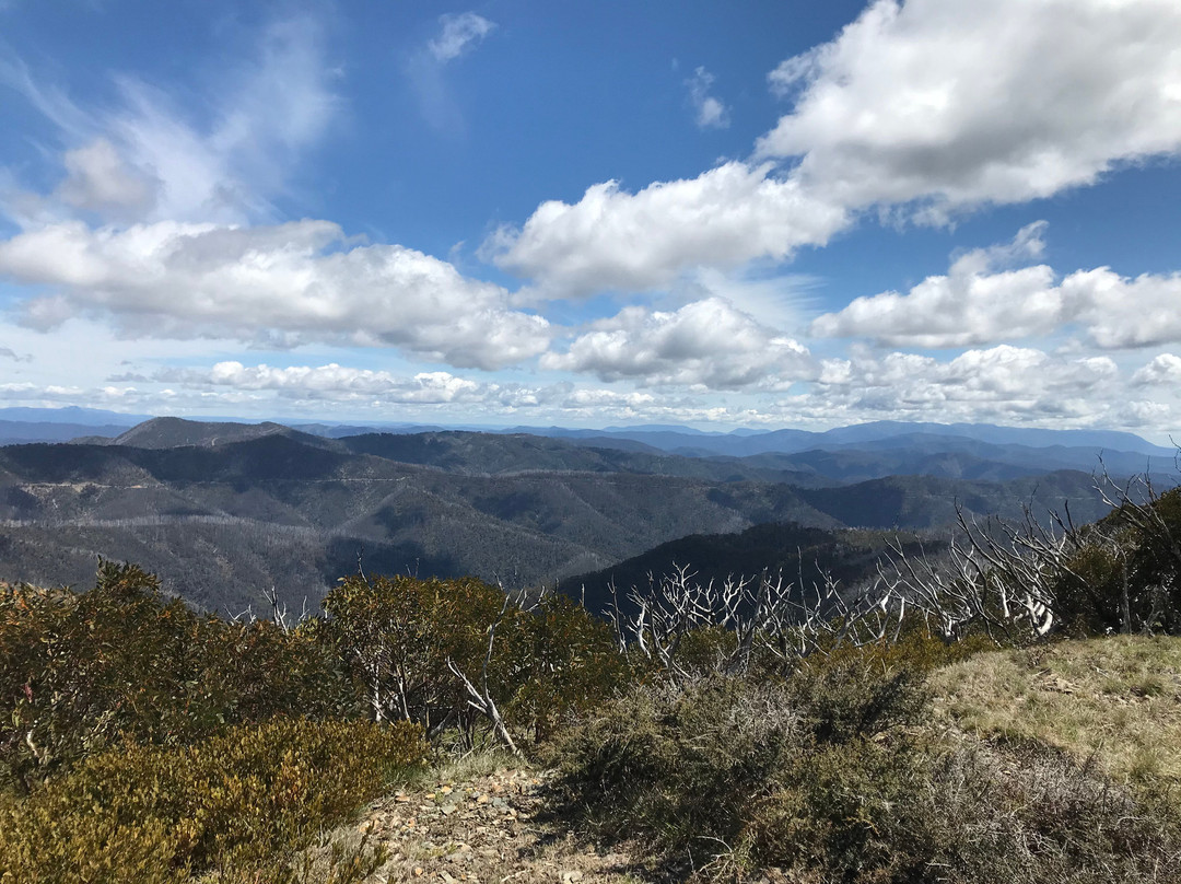 Blowhard Hut-Hotham Heights必去景点