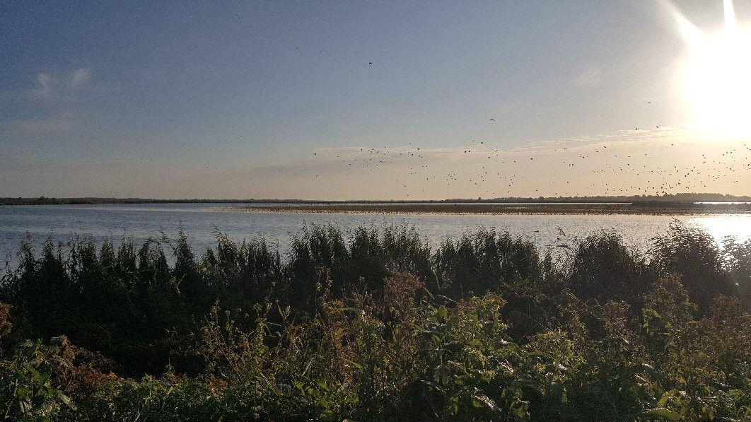 Nationaal Park Lauwersmeer-Lauwersoog必去景点