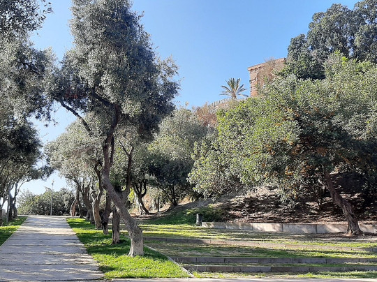 Parc Del Turonet-Montgat必去景点