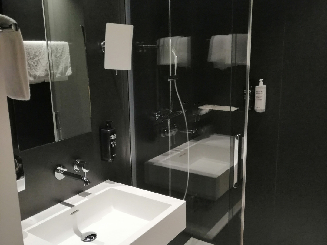 宜必思巴塞尔班霍夫酒店主图