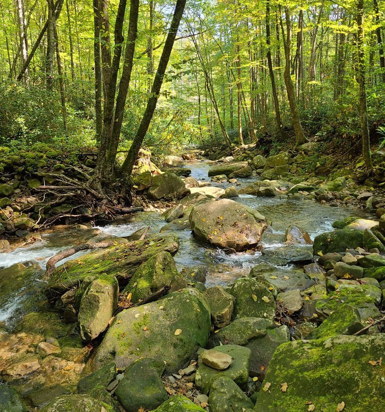 The Devil's Bathtub-Fort Blackmore必去景点