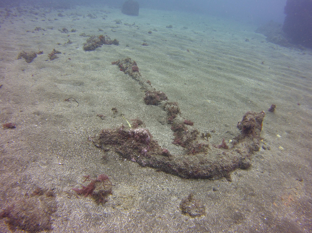 Qmann Diving-Altares必去景点