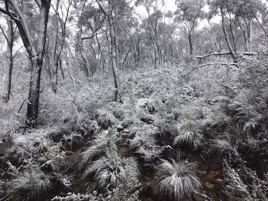 Mt William-贺思盖必去景点