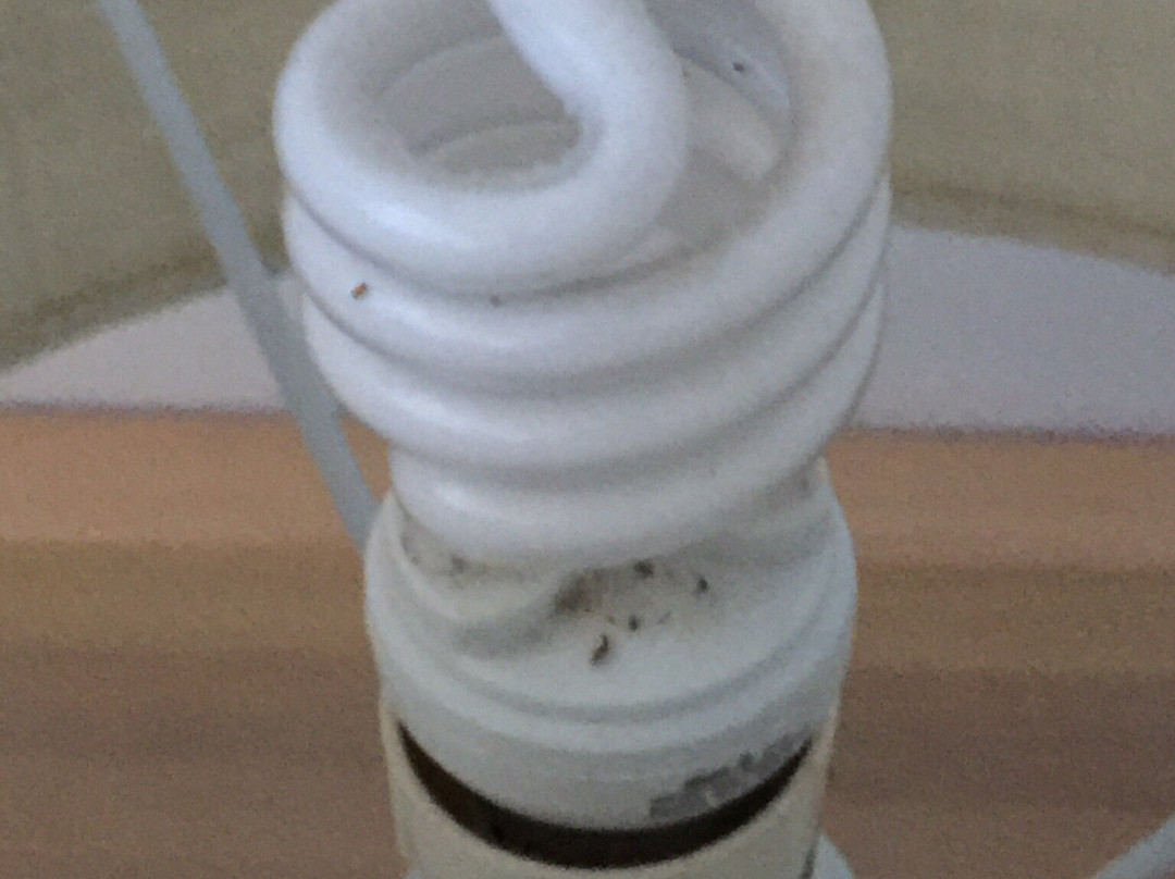 鹦鹉螺海滨Spa公寓主图