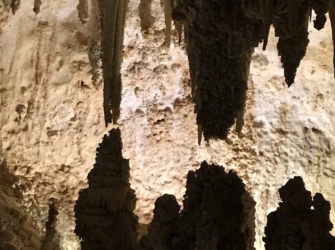 Carlsbad Museum and Art Center-卡尔斯巴德必去景点