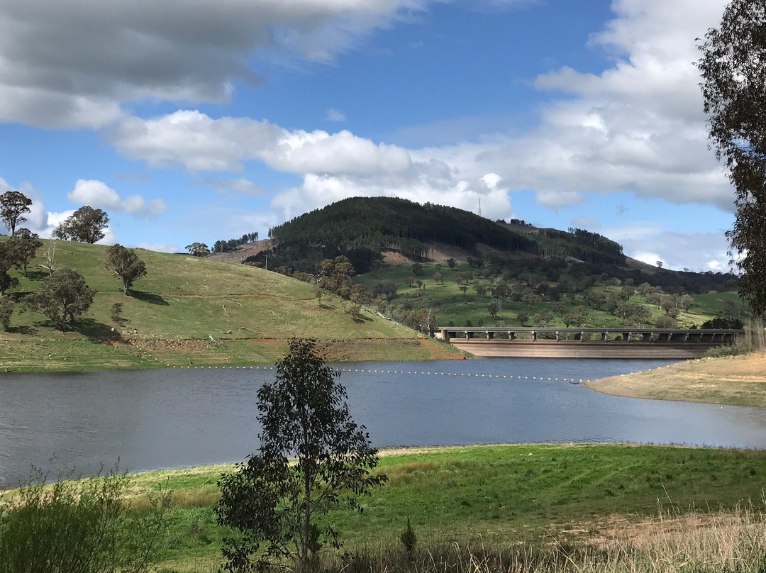 Carcoar Dam景点图片