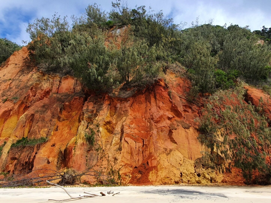 Great Beach Drive 4WD Tours-Noosa Heads必去景点