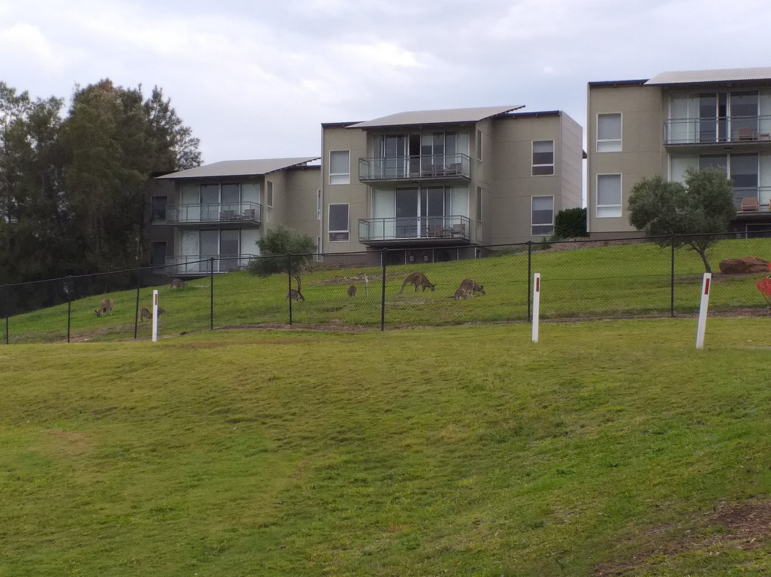 赛普拉斯湖盛橡度假酒店主图