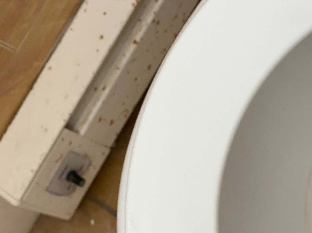 The Palms Hotel Fire Island主图