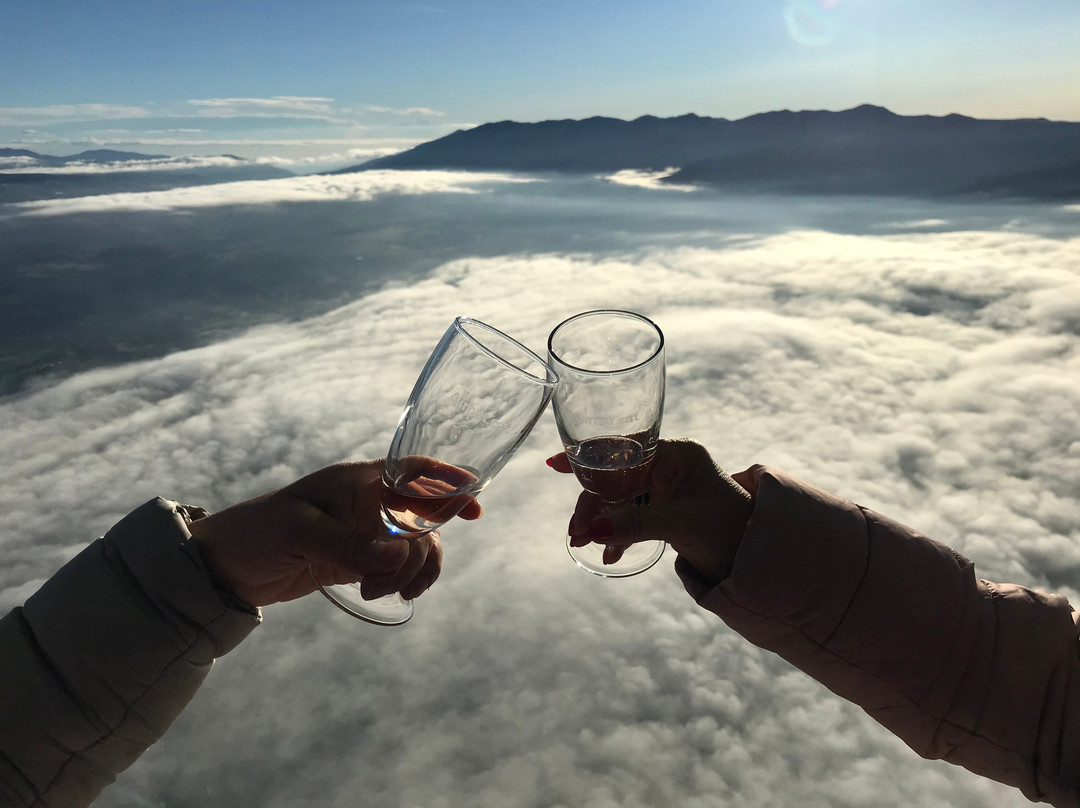 Aircat-维克必去景点