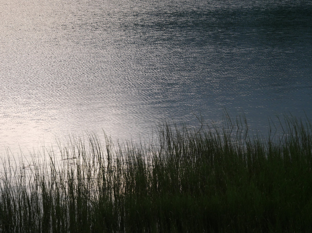 Ozenuma Lake景点图片