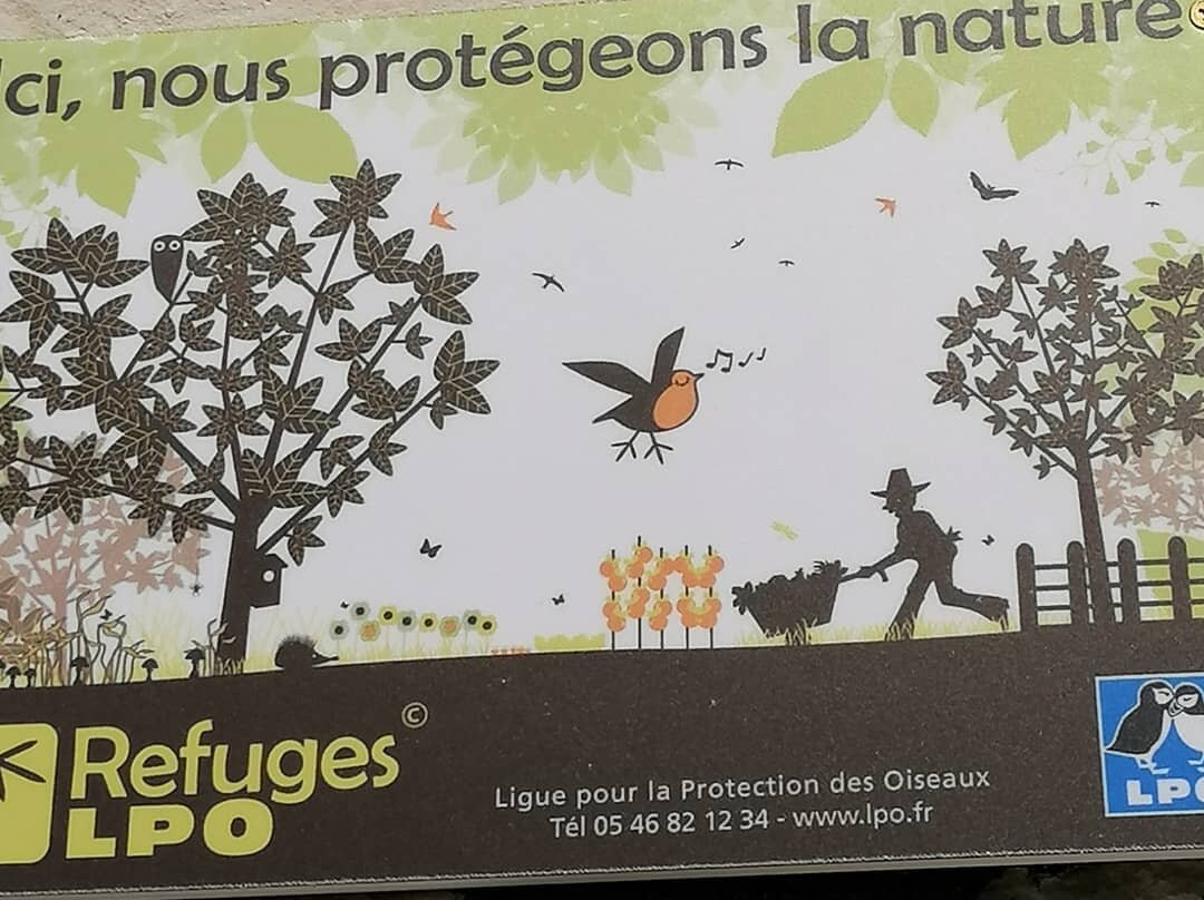 Traînefeuilles主图