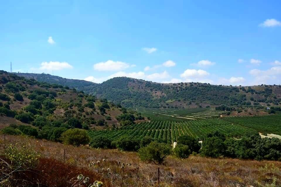 Gazelle - 4x4 Geopolitical Tours - Erez Zukerman-Merom Golan必去景点