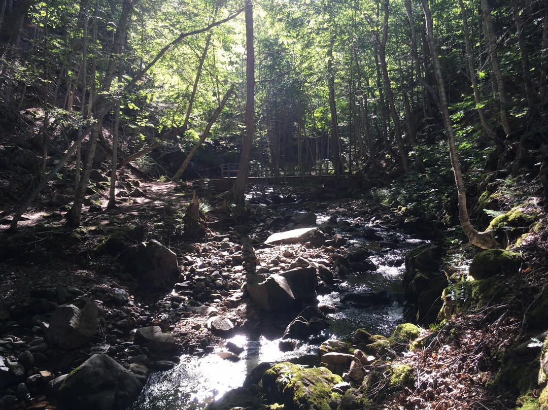 MacIntosh Brook Trail-Pleasant Bay必去景点
