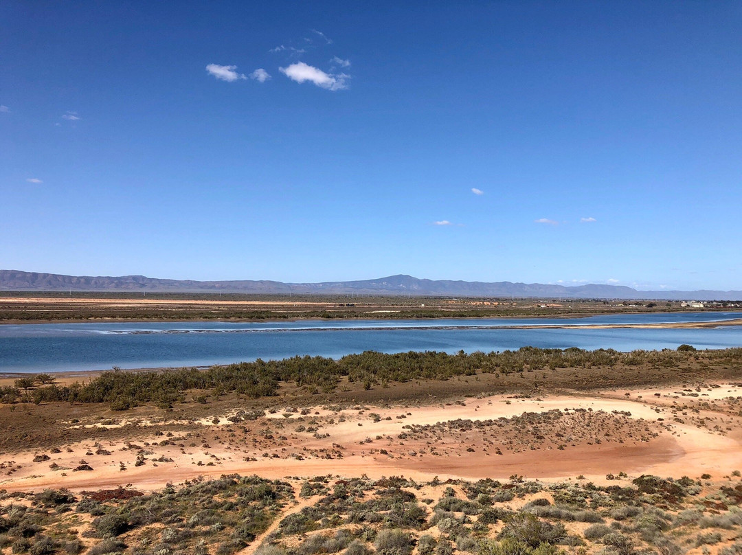 Matthew Flinders Red Cliff Lookout-Port Augusta必去景点