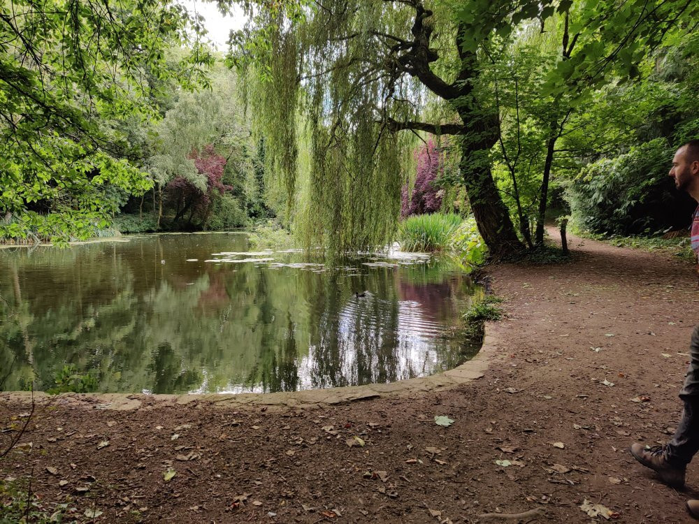 Wychwood Wild Garden景点图片