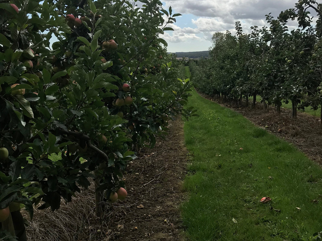 Take Me To London-伦敦必去景点