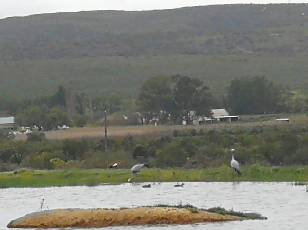 Lord's Wines-McGregor必去景点