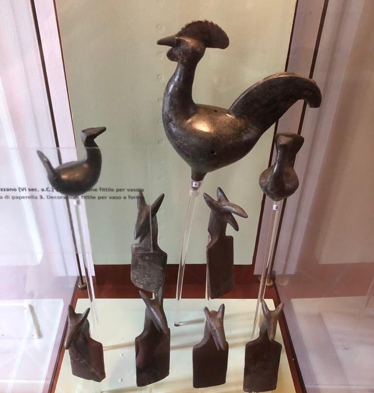 Museo archeologico statale di Ascoli Piceno景点图片