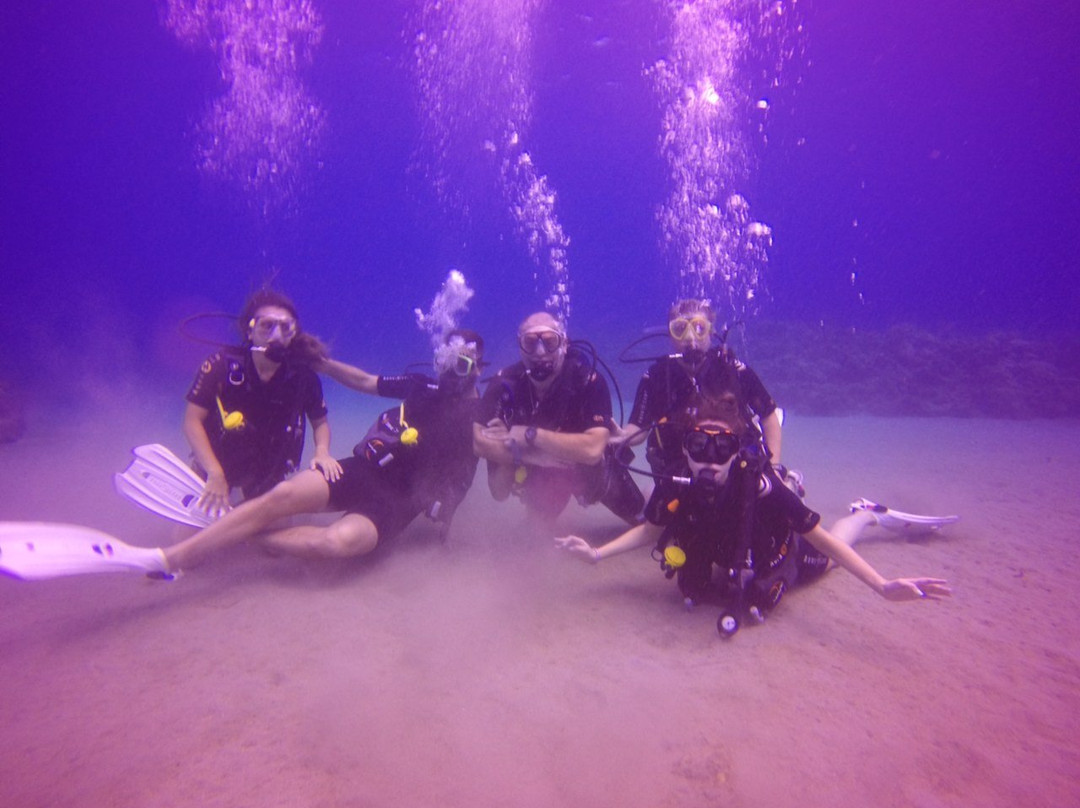 Les Baillantes Tortues-Pointe-Noire必去景点