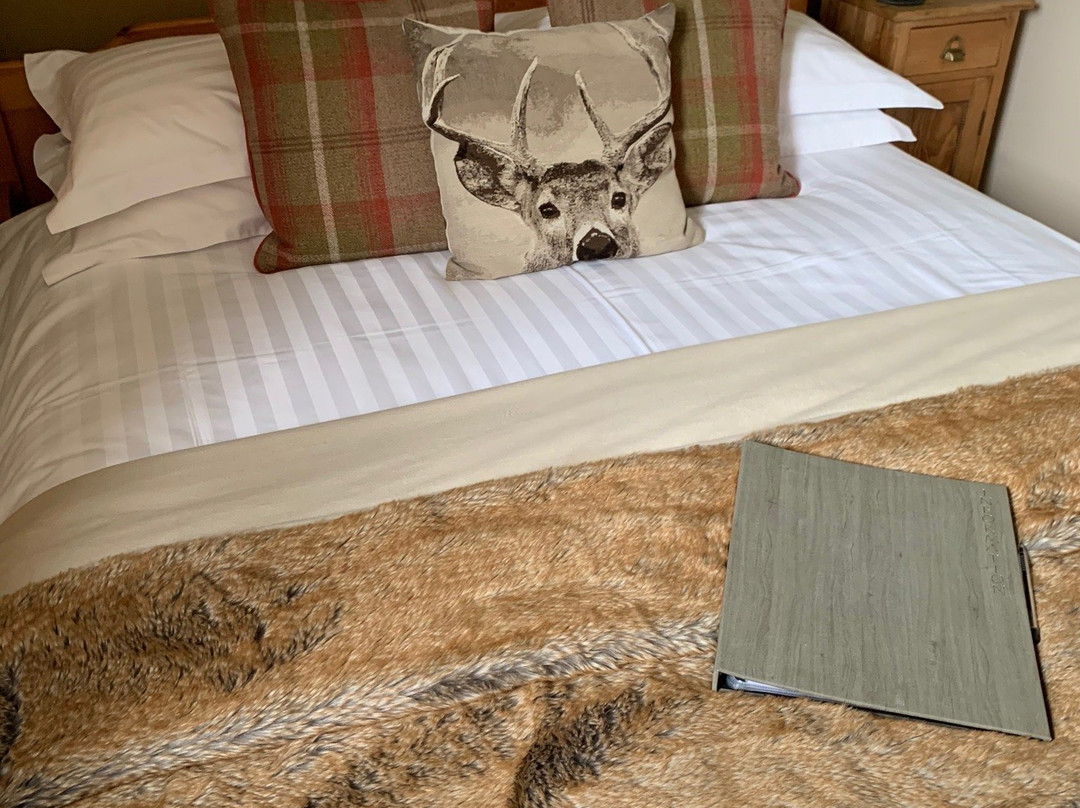 Loch View Guesthouse主图