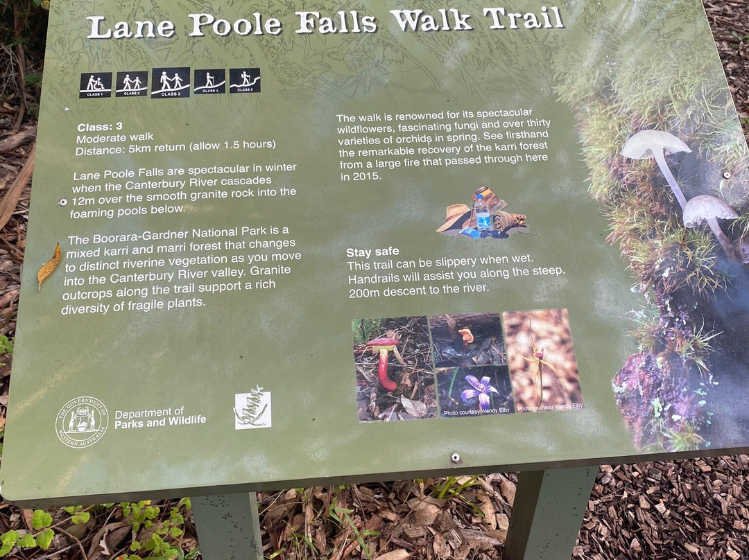 Lane-Poole Falls-Northcliffe必去景点