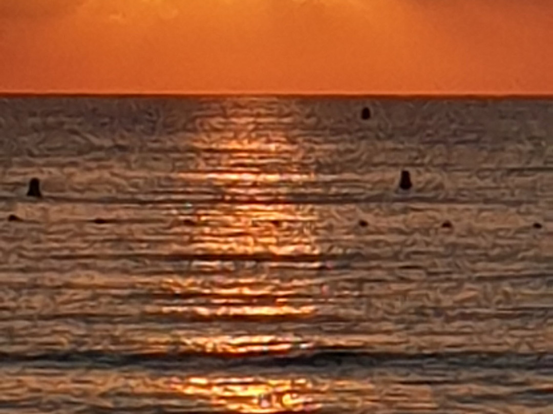 Plage De La Nartelle景点图片