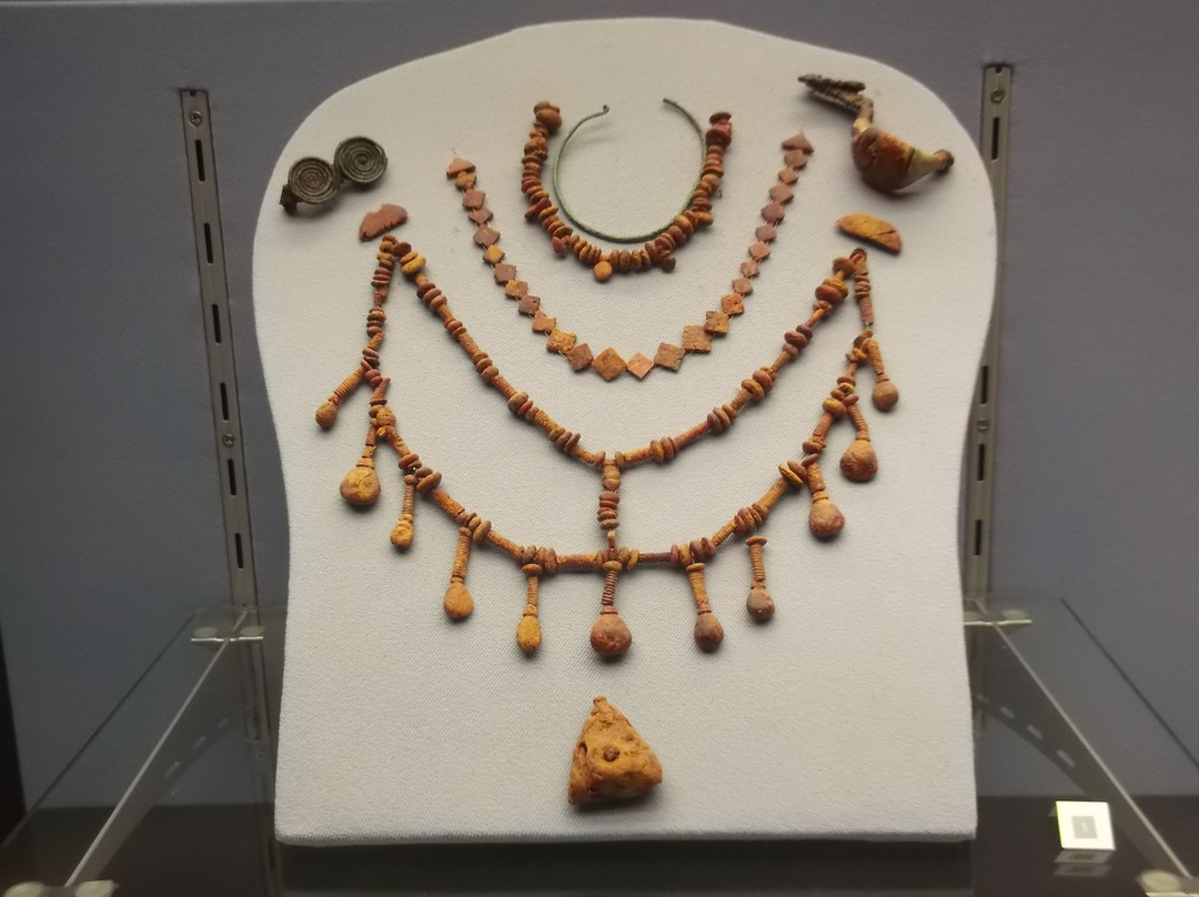 Museo Archeologico Nazionale del Melfese Massimo Pallottino景点图片
