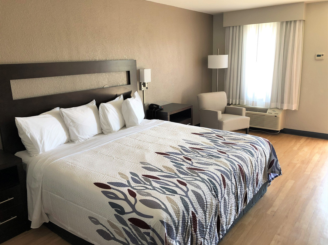 Red Roof Inn St George, SC主图