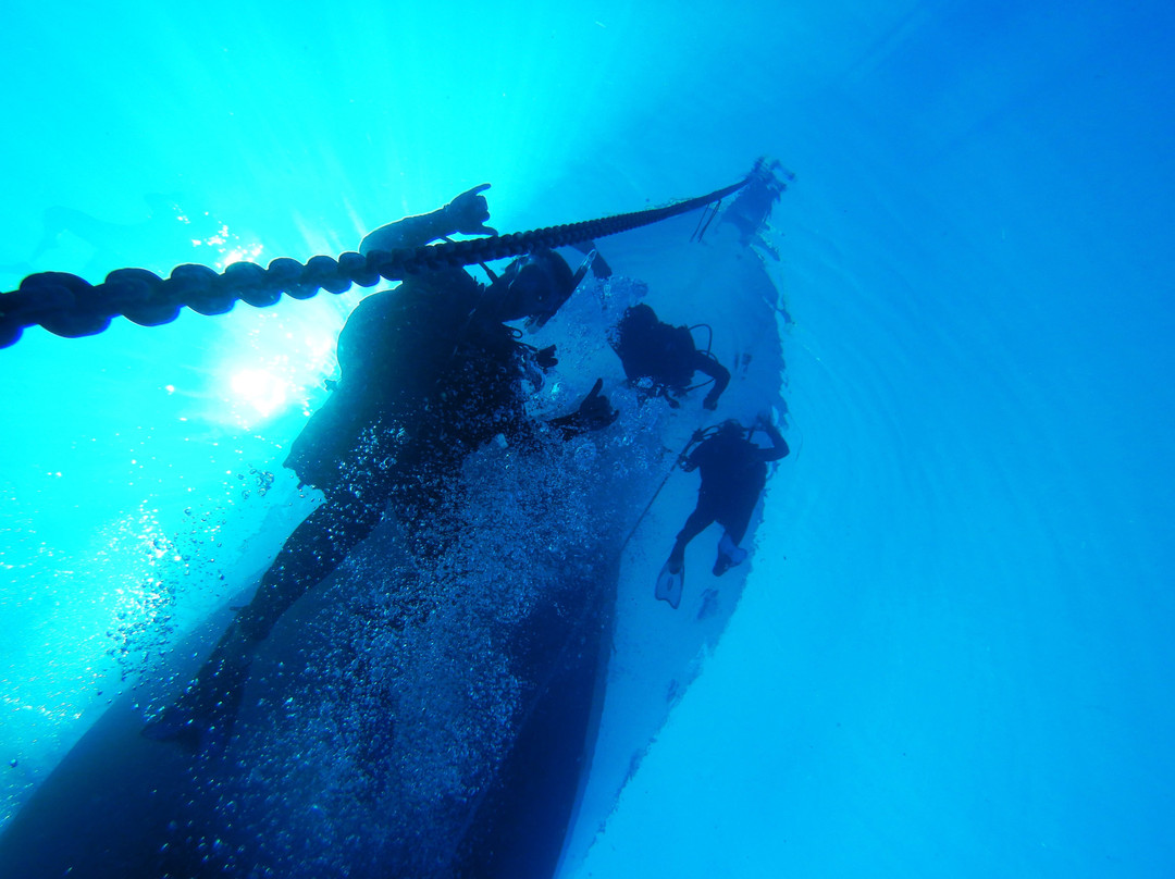 Pilbara Dive And Tours Pty Ltd-卡拉萨必去景点