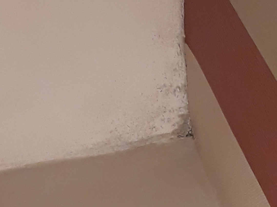 克鲁斯山顶酒店主图