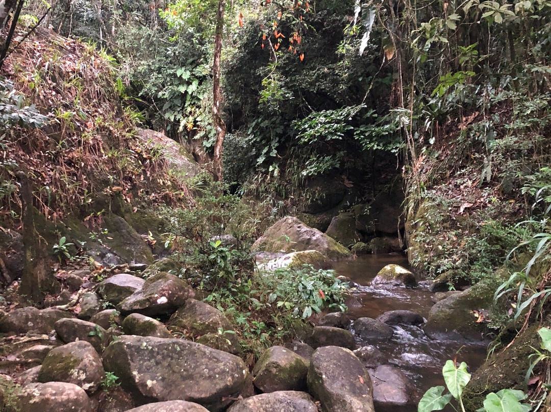 Cachoeiras do Rio Palmital景点图片