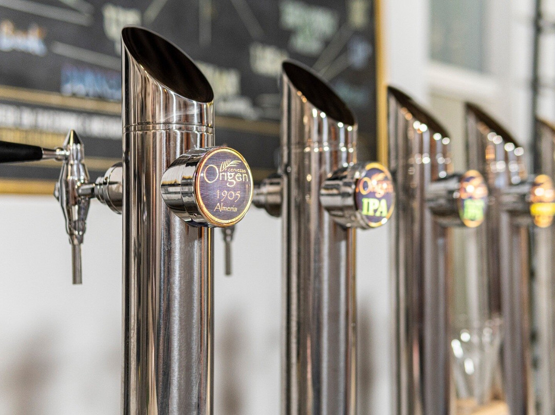 Rotterdam Tap Room