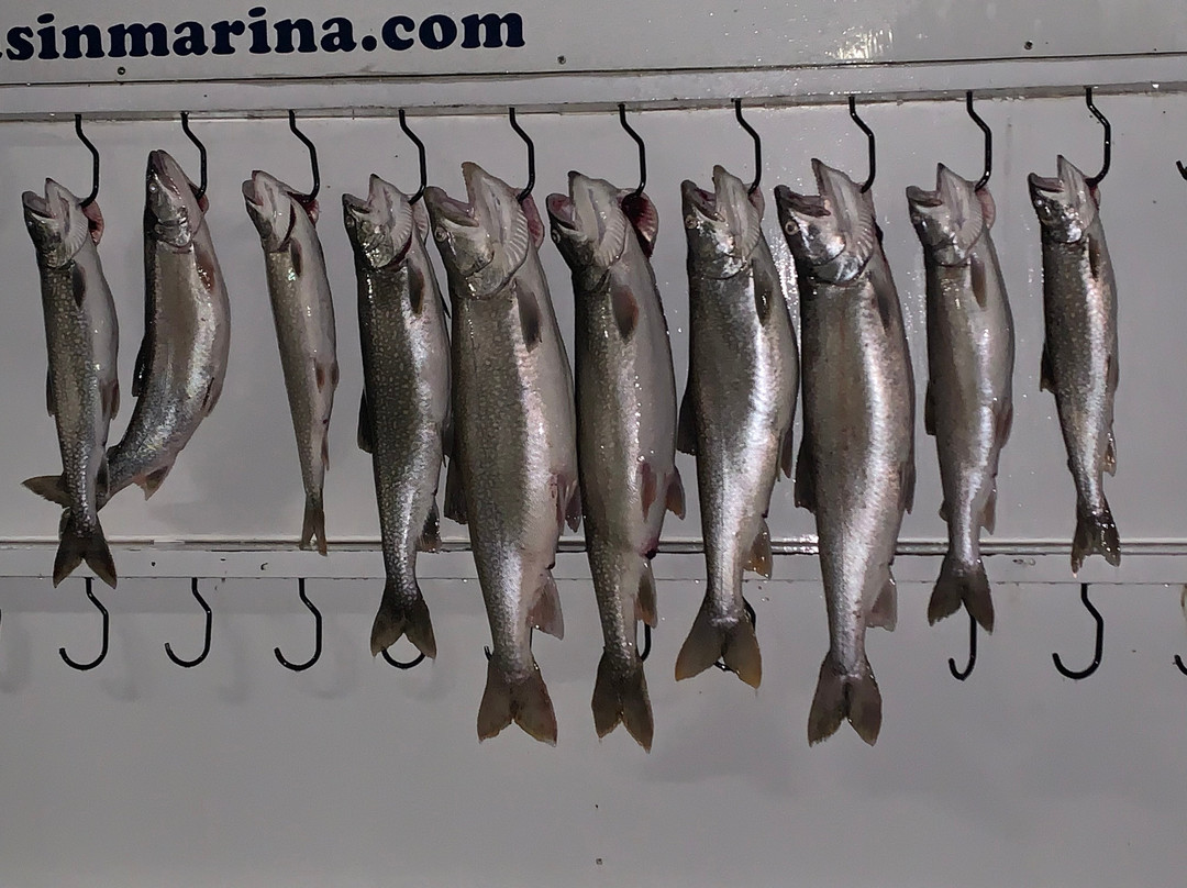 CoHooker Charters-荷兰村必去景点