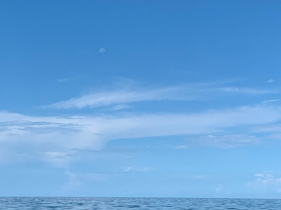Razor Belly Fishing Charter-克里斯特尔里弗必去景点