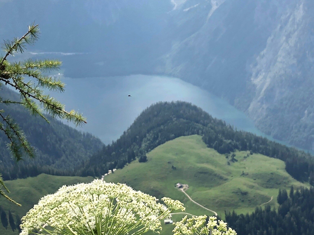 Hotel Hindenburglinde主图