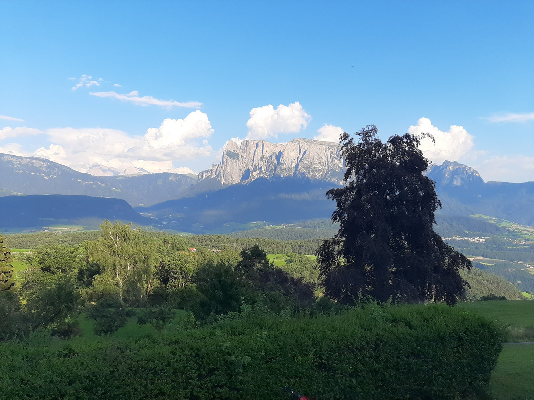 维塞赫夫绿色酒店主图