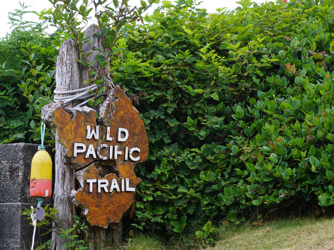 Easy on the Edge主图