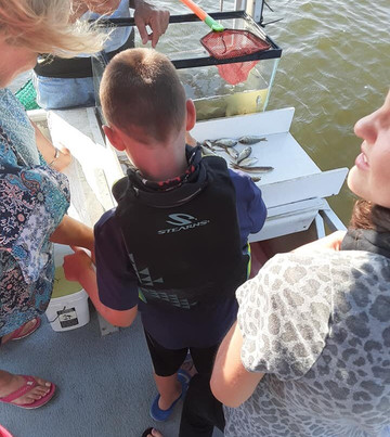 Sailaway Charters-橙色海湾必去景点