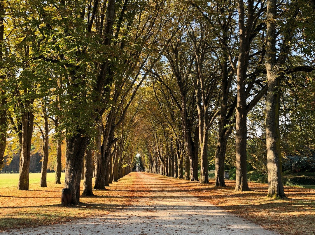 Parc de Richelieu景点图片