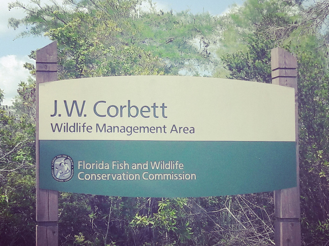 J.W. Corbett Wildlife Management Area景点图片