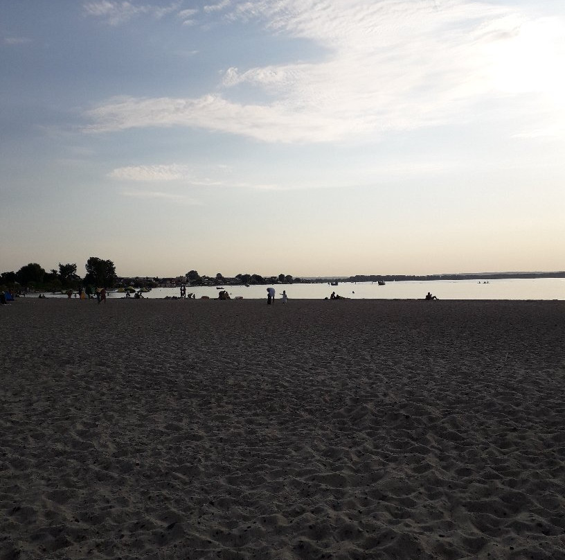 Beach in Rewa景点图片