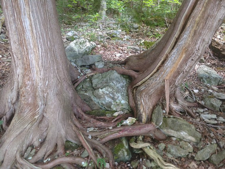 Clark Reservation State Park-Jamesville必去景点