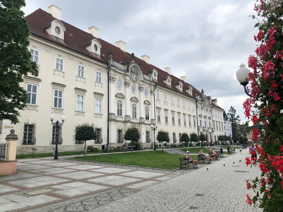 Schaffgotsch Palace in Cieplice景点图片