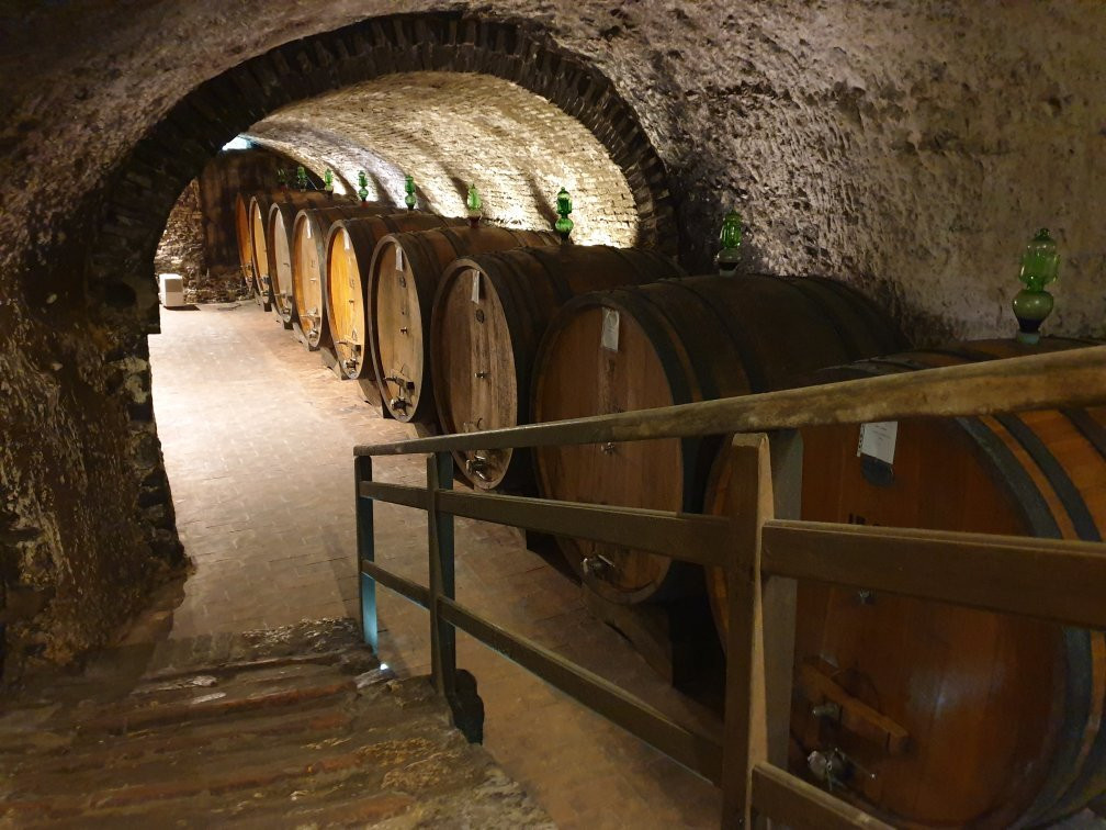 Gattavecchi Winery-蒙特普尔恰诺必去景点