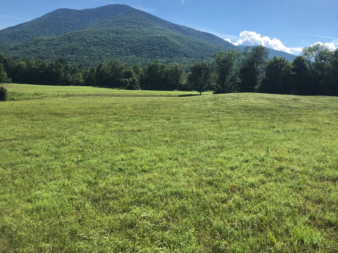 Mountain View Ranch-Danby必去景点